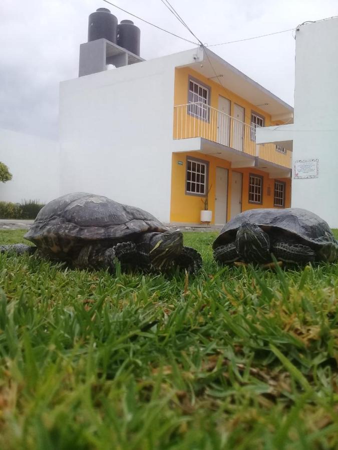 Posada Del Angel Pachuca Eksteriør billede